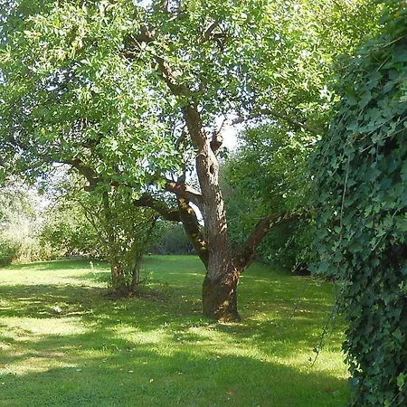 Ferienhaus-mecki Casa vacanze *