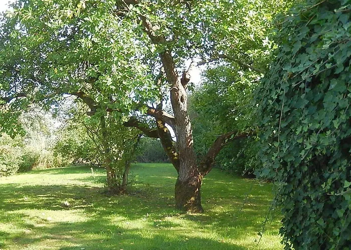 Ferienhaus-mecki Holiday home *